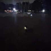 ヒメ日記 2026/03/07 00:16 投稿 れいか 吉祥寺角海老