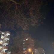 ヒメ日記 2026/03/09 00:06 投稿 れいか 吉祥寺角海老