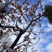 ヒメ日記 2026/03/09 17:56 投稿 れいか 吉祥寺角海老