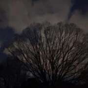 ヒメ日記 2026/03/09 23:46 投稿 れいか 吉祥寺角海老