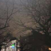 ヒメ日記 2026/03/13 23:36 投稿 れいか 吉祥寺角海老