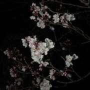 ヒメ日記 2026/03/16 23:56 投稿 れいか 吉祥寺角海老