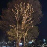 ヒメ日記 2026/03/23 00:06 投稿 れいか 吉祥寺角海老