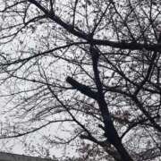 ヒメ日記 2026/03/23 15:06 投稿 れいか 吉祥寺角海老