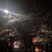 ヒメ日記 2026/03/23 23:36 投稿 れいか 吉祥寺角海老