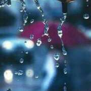 ヒメ日記 2026/03/26 07:06 投稿 れいか 吉祥寺角海老