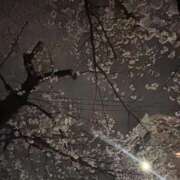 ヒメ日記 2026/03/26 23:36 投稿 れいか 吉祥寺角海老