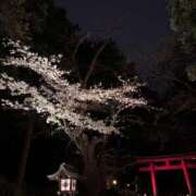 ヒメ日記 2026/03/27 23:16 投稿 れいか 吉祥寺角海老