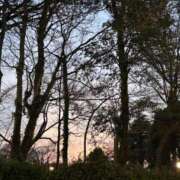 ヒメ日記 2026/03/29 23:56 投稿 れいか 吉祥寺角海老