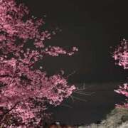 ヒメ日記 2026/03/30 23:36 投稿 れいか 吉祥寺角海老