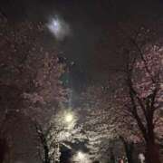 ヒメ日記 2026/03/31 23:56 投稿 れいか 吉祥寺角海老