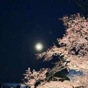 ヒメ日記 2026/04/04 00:26 投稿 れいか 吉祥寺角海老