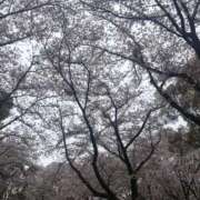 ヒメ日記 2026/04/05 18:46 投稿 れいか 吉祥寺角海老