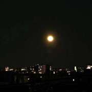 ヒメ日記 2026/04/06 00:06 投稿 れいか 吉祥寺角海老