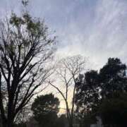 ヒメ日記 2026/04/06 18:06 投稿 れいか 吉祥寺角海老