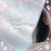 ヒメ日記 2026/04/07 07:46 投稿 れいか 吉祥寺角海老