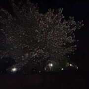 ヒメ日記 2026/04/13 23:46 投稿 れいか 吉祥寺角海老