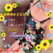 ヒメ日記 2026/04/14 09:09 投稿 れいか 吉祥寺角海老