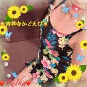 ヒメ日記 2026/04/14 11:46 投稿 れいか 吉祥寺角海老