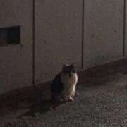 ヒメ日記 2026/04/22 23:46 投稿 れいか 吉祥寺角海老