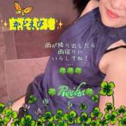 ヒメ日記 2026/04/23 09:16 投稿 れいか 吉祥寺角海老