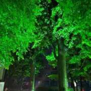 ヒメ日記 2026/04/24 00:06 投稿 れいか 吉祥寺角海老