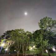 ヒメ日記 2026/04/25 00:06 投稿 れいか 吉祥寺角海老