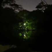 ヒメ日記 2026/04/26 00:06 投稿 れいか 吉祥寺角海老