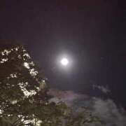 ヒメ日記 2026/05/01 23:56 投稿 れいか 吉祥寺角海老