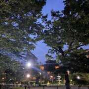 ヒメ日記 2026/06/06 23:56 投稿 れいか 吉祥寺角海老