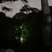 ヒメ日記 2026/06/12 00:06 投稿 れいか 吉祥寺角海老