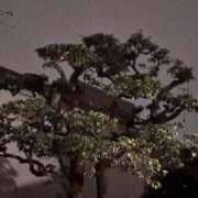 ヒメ日記 2026/07/11 23:36 投稿 れいか 吉祥寺角海老