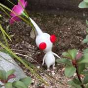 ヒメ日記 2025/12/09 09:02 投稿 らむ 吉祥寺角海老