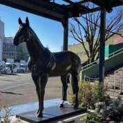 ヒメ日記 2026/01/02 11:56 投稿 らむ 吉祥寺角海老