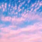 ヒメ日記 2025/09/17 09:42 投稿 すい 吉祥寺角海老