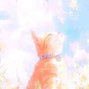 ヒメ日記 2025/11/10 10:05 投稿 すい 吉祥寺角海老