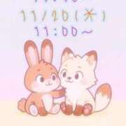 ヒメ日記 2025/11/17 09:44 投稿 すい 吉祥寺角海老