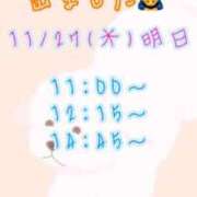 ヒメ日記 2025/11/26 09:26 投稿 すい 吉祥寺角海老