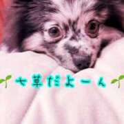 ヒメ日記 2026/01/07 09:26 投稿 すい 吉祥寺角海老