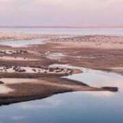 ヒメ日記 2026/01/21 10:46 投稿 すい 吉祥寺角海老