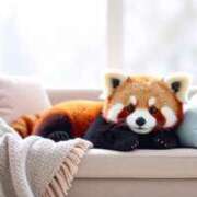 ヒメ日記 2026/01/31 09:16 投稿 すい 吉祥寺角海老