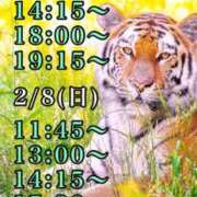 ヒメ日記 2026/02/06 12:26 投稿 すい 吉祥寺角海老