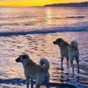 ヒメ日記 2026/02/18 09:36 投稿 すい 吉祥寺角海老