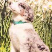 ヒメ日記 2026/02/26 09:16 投稿 すい 吉祥寺角海老