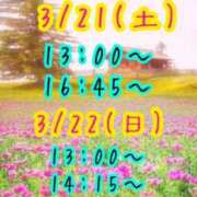 ヒメ日記 2026/03/20 09:56 投稿 すい 吉祥寺角海老