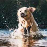 ヒメ日記 2026/03/29 09:20 投稿 すい 吉祥寺角海老