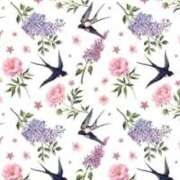 ヒメ日記 2026/04/01 09:26 投稿 すい 吉祥寺角海老