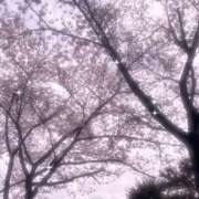 ヒメ日記 2026/04/07 09:26 投稿 すい 吉祥寺角海老