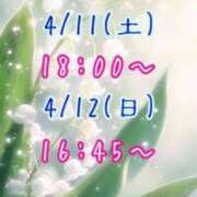 ヒメ日記 2026/04/10 13:26 投稿 すい 吉祥寺角海老