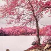 ヒメ日記 2026/04/16 09:26 投稿 すい 吉祥寺角海老